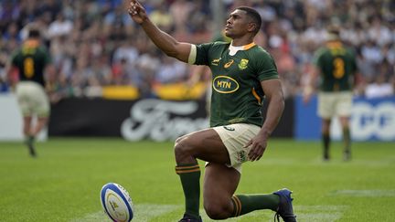 PORTRAIT. Coupe du monde de rugby : Damian Willemse, le Springbok écolo