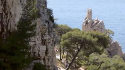 Patrimoine : réservation obligatoire pour les Calanques de Marseille