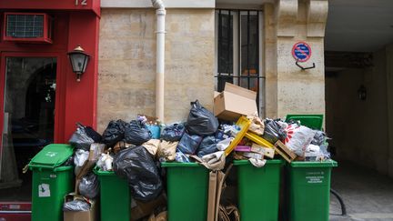 La grève de la collecte des déchets a provoqué l'amoncellement des ordures dans les rues de la capitale. A Paris, le 25 mars 2023. (JEROME LEBLOIS / HANS LUCAS / AFP)