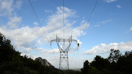 Depuis 2014, les "tarifs bleus" de l'électricité appliqués par EDF aux particuliers sont calculés une fois par an. (BORIS HORVAT / AFP)