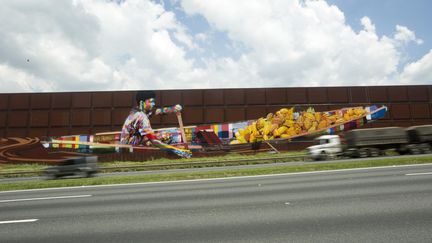 La dernière peinture murale du Brésilien Eduardo Kobra, à São Paulo, fait près de 6000 m2
 (Sebastião Moreira / EFE / Newscom / MaxPPP)