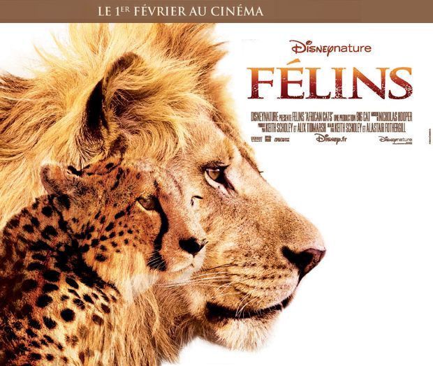 L&#039;affiche du film
 (Disney Nature)