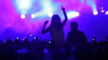 Une jeune fille s'amuse lors d'un concert. Selon une &eacute;tude Harris Interactive-Cityvox publi&eacute;e le 3 avril 2012, un Fran&ccedil;ais sur deux aimerait sortir plus souvent.&nbsp; (DANGEROUS_DISCO / FLICKR / GETTY IMAGES)