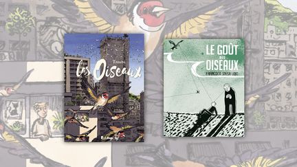 Couvertures des albums BD&nbsp;&nbsp;"Les Oiseaux", de Troubs et "Le Goût des oiseaux", de Francesco Sousa Lobo (FUTUROPOLIS / Editions RACKHAM)