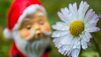 Le dérèglement climatique perturbe Dame Nature