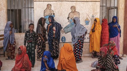 A Adlale, non loin de Gode, des dizaines de femmes viennent chercher l'aide alimentaire d'urgence distribuée par le PAM. "Nous avons marché cinq jours pour venir" ici, raconte l’une d’elles, mère de dix enfants, qui élevait vaches et chameaux. (EDUARDO SOTERAS / AFP)