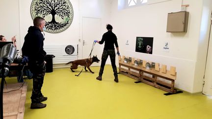 Ici, le dressage&nbsp;des chiens à l'école nationale vétérinaire d'Alfort dans le Val-de-Marne. (BENJAMIN ILLY / FRANCE-INFO)