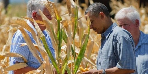 Le président Obama inspecte un champ de maïs touché par la sécheresse dans la vallée du Missouri aux Etats-Unis en 2012. (JIM WATSON / AFP)