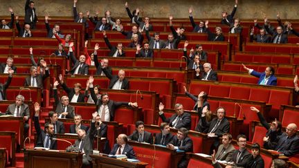 Des d&eacute;put&eacute;s dans l'h&eacute;micycle de l'Assembl&eacute;e nationale, le 17 d&eacute;cembre 2014. (MAXPPP)