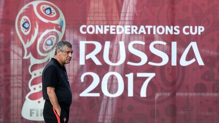 La Coupe des confédérations débute le 17 juin et prendra fin le 2 juillet. (Photo d'illustration) (FRANCK FIFE / AFP)