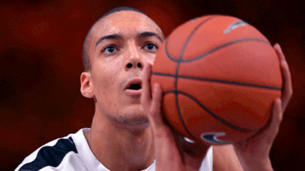 Rudy Gobert