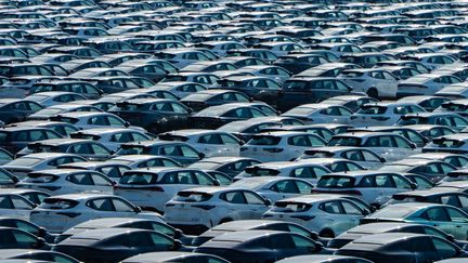 Des voitures électriques sur le parking d'un centre de distribution, à Chongqing, en Chine, le 11 août 2024. (CFOTO / NURPHOTO / AFP)