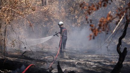 Un pompier tente de neutraliser les nombreux départs d'incendie dans la forêt de La-Teste-de-Buch (Gironde), le 5 août 2022.&nbsp; (MAXPPP)