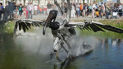 Ibis
 (DR/site de la Roche/Yon)