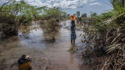 Des pluies diluviennes, qui se sont abattues sur le Malawi, ont fait une cinquantaine de morts, 11 disparus et causé de nombreux dégâts matériels. Douze districts ont été touchés et 200 000 personnes ont été déplacées. Ces pluies affectent l'économie de ce pays pauvre du sud-est de l'Afrique, déjà meurtri par la sècheresse depuis plusieurs saisons. (AMOS GUMULIRA /AFP)