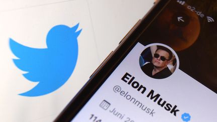 Le compte Twitter d'Elon Musk.&nbsp; (KARL-JOSEF HILDENBRAND / DPA)