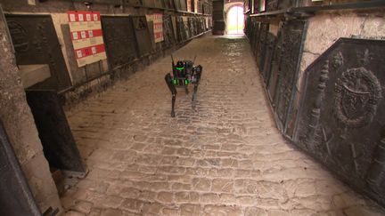 Un chien-robot dans les rues de la citadelle de Besançon (France 3)