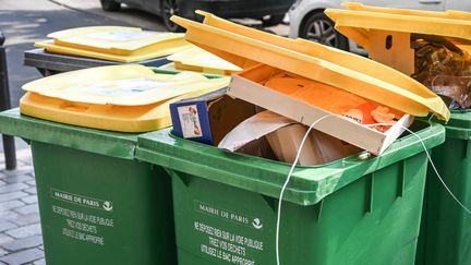 D'après un rapport de la Cour des comptes, 582 kg de déchets en moyenne sont jetés  chaque année par habitant en France, dont la moitié non triée. (JEAN-LUC FL?MAL / MAXPPP)