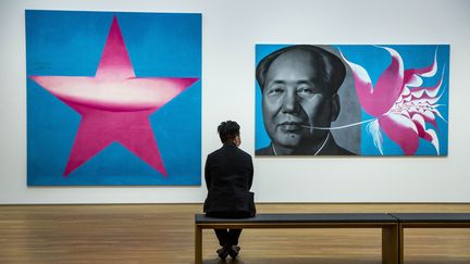 Un visiteur admirant l'oeuvre "Rouge 1992" de Li Shan, lors de l'inauguration du musée hongkongais M+. (ISAAC LAWRENCE / AFP)