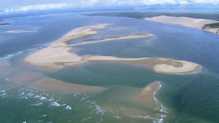 Gironde : le Banc d'Arguin menacé par l'érosion