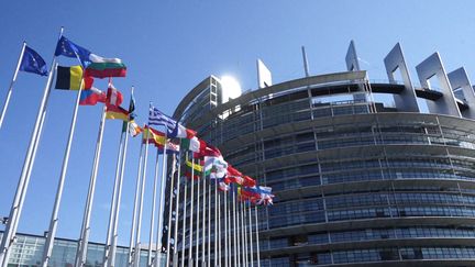 Le Parlement européen à Strasbourg, en mars 2019. (CATHY DOGON / RADIOFRANCE)