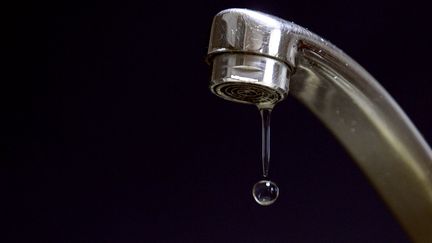 Un milliard de m&egrave;tre cubes d'eau potable est gaspill&eacute; chaque ann&eacute;e en France, selon&nbsp;un rapport 2014 de l'Observatoire des services publics d'eau et d'assainissement, cit&eacute; par "Les Echos" jeudi 20 novembre 2014. (FRANCK FIFE / AFP)