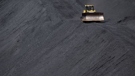 Un bulldozer roule sur une montagne de charbon sur le site de la&nbsp;centrale thermique de Mehrum en Basse-Saxe, en Allemagne, le 28 juin 2022. (JULIAN STRATENSCHULTE / DPA / AFP)