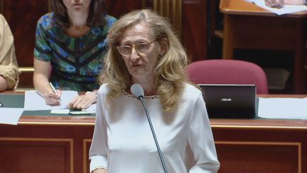 La garde des Sceaux Nicole Belloubet au Sénat, le 5 juillet 2018 (Public Sénat)