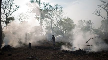 Elle a été défrichée pour les familles de réfugiés congolais qui arrivent sur le site de Lóvua. Le gouvernement angolais a alloué près de 33 km² de terres à Lóvua, au milieu de la forêt, pour que les réfugiés puissent construire des abris et cultiver la terre.
 (Colin Delfosse/UNHCR       )