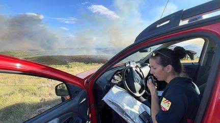 A18h, le flammes avaient ravagé une centaine d'hectares&nbsp;près de la commune de Calce (Pyrénées-Orientales),&nbsp;samedi 30 juillet. (SDIS66)