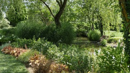 Au&nbsp;jardin des Martels, dans le Tarn.&nbsp; (ISABELLE MORAND / RADIO FRANCE)