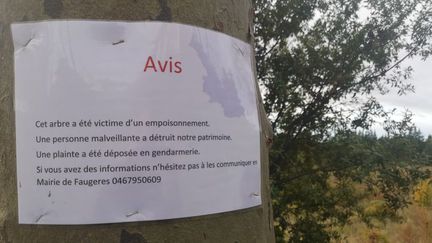 Un appel à témoins lancé par la mairie de Faugères pour faire avancer l'enquête de gendarmerie.





 (STEFANE POCHER / RADIO FRANCE)