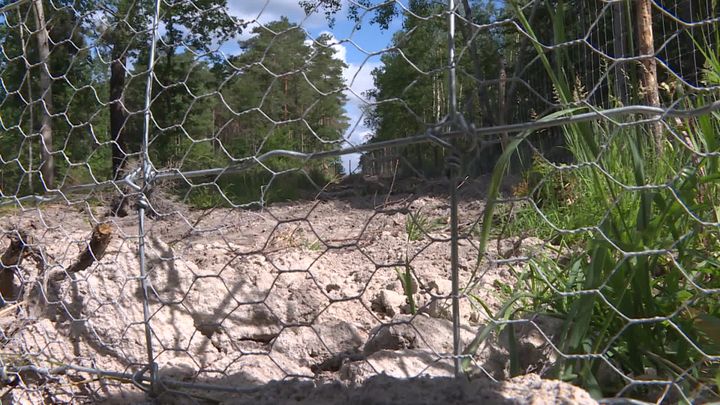 Des grillages qui ne laissent rien passer.&nbsp; (A. Rigodanzo /  France Télévisions)