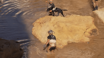 Inondations en Espagne : le gouvernement mobilise 10 000 policiers et gendarmes en renfort