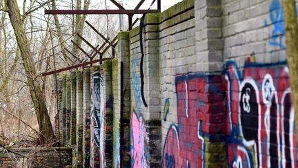 Un mur d'environ 80 mètres de long découvert dans une zone forestière à Pankow, à Berlin, Allemagne, le 24 janvier 2018.&nbsp; (MAURIZIO GAMBARINI / DPA)