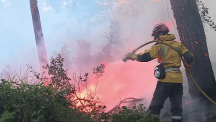 Un incendie a touché les collines de Colomars, sur les hauteurs de Nice (Alpes-Maritimes), samedi 1er avril. Dix hectares sont partis en fumée. Un homme, suspecté d’être à l’origine des flammes, a été interpellé. (FRANCE 2)