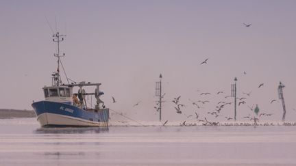 Un bateau de pêche près de Saint-Valéry-sur-Somme (Somme), le 29 septembre 2017. (STEPHANE BOUILLAND / BIOSPHOTO / AFP)