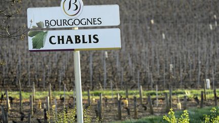 Une parcelle de vignes de Chablis, à Maligny, près d'Auxerre (Yonne), en 2017 (illustration). (PHILIPPE DESMAZES / AFP)