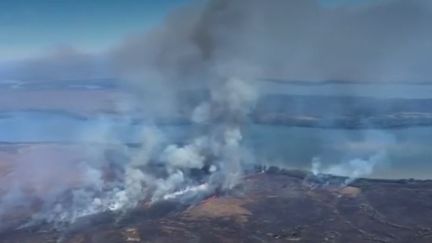 Amazonie : le poumon vert en feu