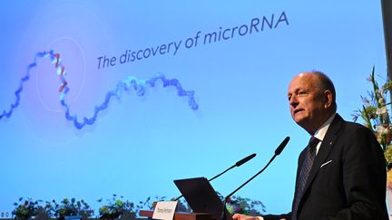 Olle Kaempe, member of the Nobel Assembly, details the research of the two Nobel laureates in medicine in Stockholm (Sweden), October 7, 2024. (JONATHAN NACKSTRAND / AFP)