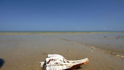 C'est sur une plage paradisiaque de Tul&eacute;ar, &agrave; Madagascar, que G&eacute;rald Fontaine avait disparu avec sa compagne le 12 avril. (ALEXANDER JOE / AFP)