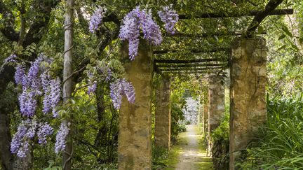 Jardin serre de la Madone à Menton.&nbsp; (GETTY IMAGES)