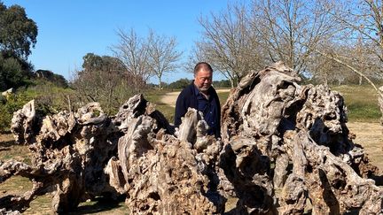 Ai Weiwei au Portugal, près de Lisbonne. (ALEXANDRE LE QUERE)