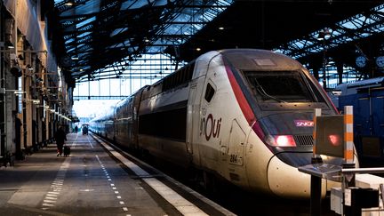 Un TGV à quai à la gare de Lyon, à Paris, le 13 décembre 2022. (ARNAUD PAILLARD / HANS LUCAS / AFP)