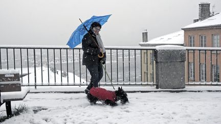 Une femme prom&egrave;ne son chien mardi 31 janvier &agrave; Lyon (Rh&ocirc;ne), o&ugrave; l'alerte orange a &eacute;t&eacute; lev&eacute;e &agrave; midi par M&eacute;t&eacute;o France. (PIERRE AUGROS / LE PROGRES / MAXPPP)