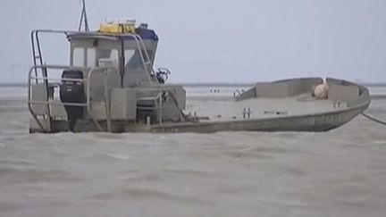 A Charron (Charente-Maritime), le 15 d&eacute;cembre 2011. (VID&Eacute;O : FRANCE 3 ET SARAH BERNUCHON - FRANCE 2)