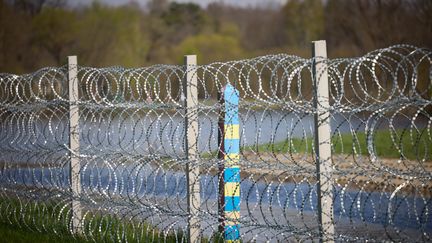 Part of the border between Ukraine and Belarus, in the Volyn region, on April 19, 2023. (UKRAINIAN PRESIDENTIAL PRESS SER)