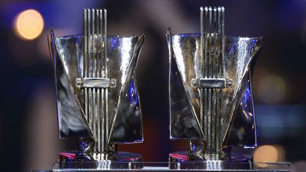 Les trophées des Victoires de la musique (illustration). (BERTRAND GUAY / AFP)