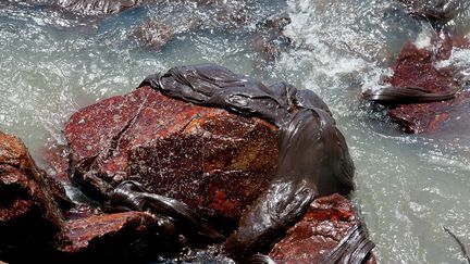 mysterieuse pollution sur les plages du bresil v3