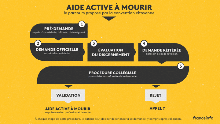 Visualisation simplifiée du parcours d'aide active à mourir proposé par les membres de la convention citoyenne sur la fin de vie. (ASTRID AMADIEU / FRANCEINFO)